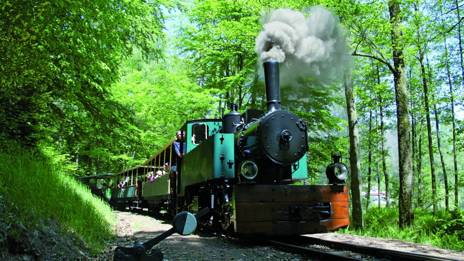 Le petit train forestier d’Abreschviller